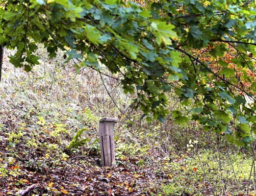 Der Velsbachstein unterhalb der Wartburg