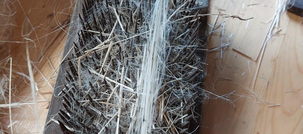 Flachs wird gekämmt