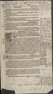 Der Gemüse- und der Kräutergarten in der Sonderausstellung „Luther im Exil. Wartburgalltag 1521“ auf der Wartburg