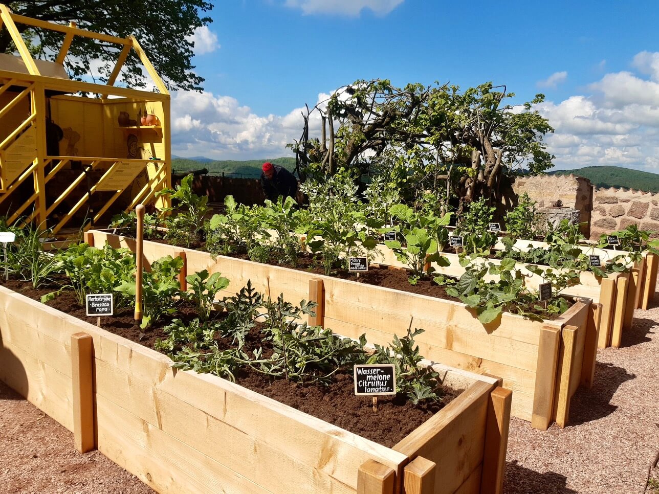 Der Gemüse- und der Kräutergarten in der Sonderausstellung „Luther im Exil. Wartburgalltag 1521“ auf der Wartburg